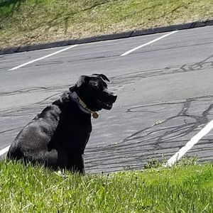 Meet your Posher, Karen sue